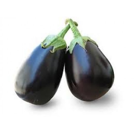 BRINJAL (Big)